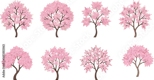 Spring cherry blossom tree illustration, pink flowering nature clipart, Japanese sakura vector art, botanical seasonal bloom tree design, floral