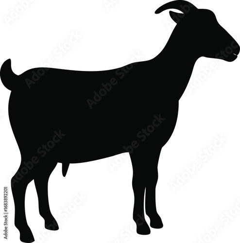 Silhouette of a majestic goat standing proudly with curved horns and a distinctive tail on a white backdrop silhouette