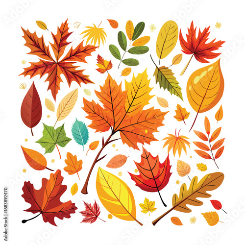 Vibrant assortment of autumn leaves in various colors and shapes