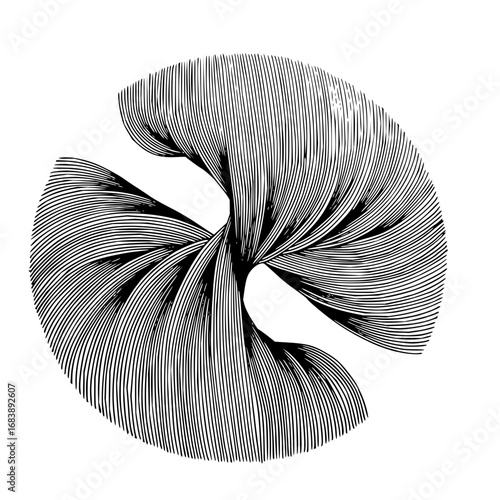 Abstract black and white swirling lines forming a dynamic, modern abstract shape