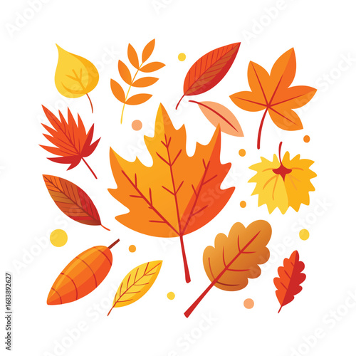 Vibrant assortment of autumn leaves in various shapes and colors