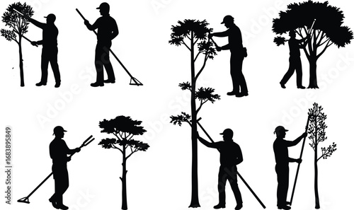 Tree care worker silhouettes, pruning branches, raking leaves, trimming trees, landscaping maintenance, arborist tools, gardening activities, outdoor work scene, groundskeeping tasks,