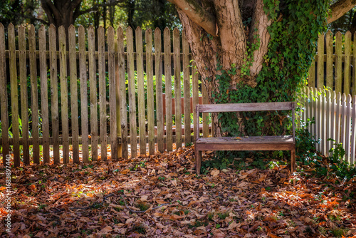 Fallen Autumn Leaves beneath a tree in a fenced in yard with a bench.