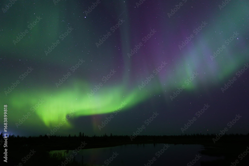 Naklejka premium Northern lights