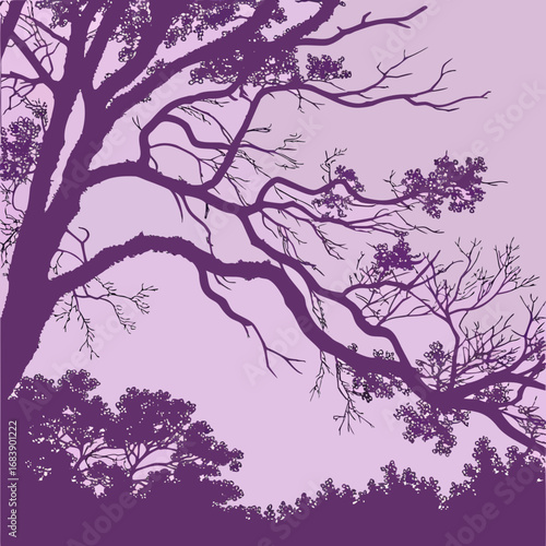 Purple twilight silhouette of tree branches and foliage vector illustration