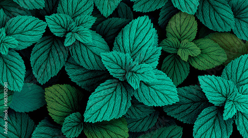 Wallpaper Mural Vibrant green mint leaves form a seamless pattern, radiating freshness, natural beauty, and an invigorating sense of organic harmony. Torontodigital.ca