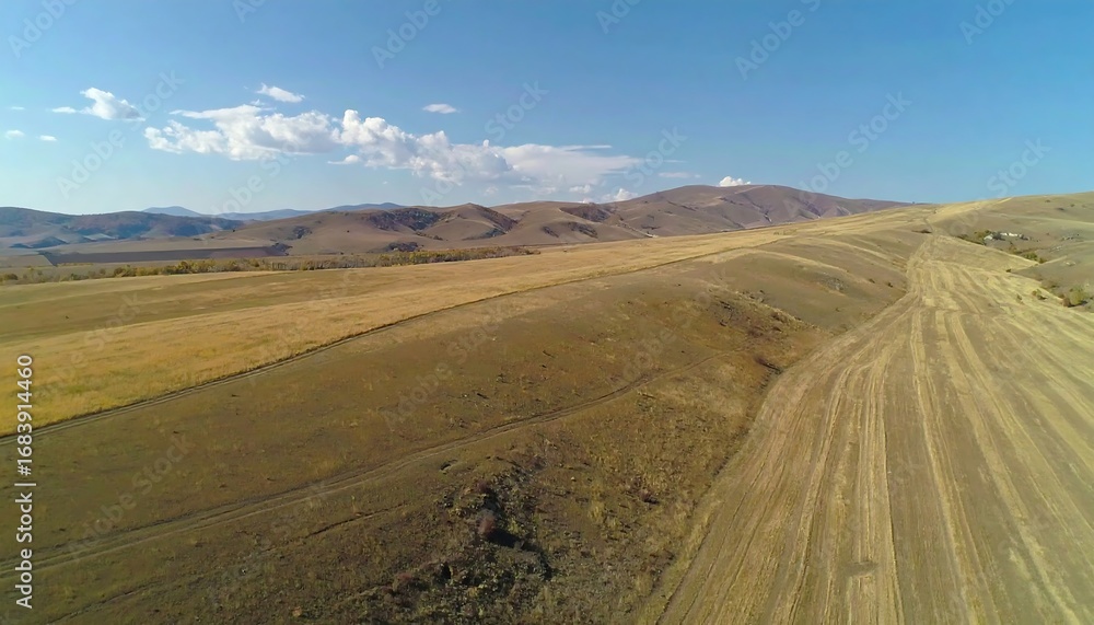 Fototapeta premium Aerial view of a dry, golden landscape