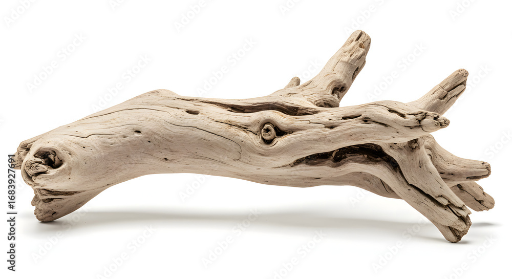 Naklejka premium Ancient Driftwood: A detailed, textured piece of driftwood rests, showing natural artistry, revealing the passage of time. capturing the unique beauty of weathered wood.