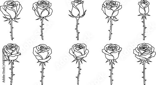 set of rose with thorns outline icon vector
