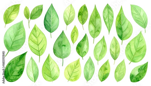Watercolor leaves collection