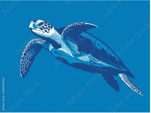 sea turtle vector illustration
