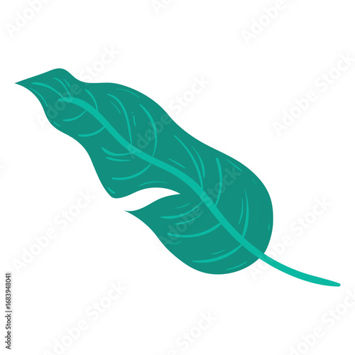 Flat tropical green leaf with detailed veins Vector