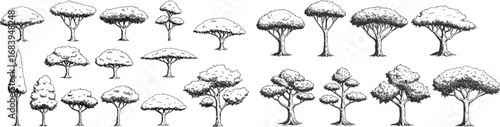 Set of trees element nature hand drawing symbol for architecture and landscape vector illustration. Isolated on white background.

