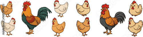 Set of chicken, rooster, hen poultry farm animal icon character hand drawn vector illustration.
