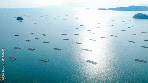 ドローン空撮による冬の瀬戸内海の牡蠣漁風景多島美（岡山県）/Oyster rafts in Seto Inland Sea, Okayama, Japan