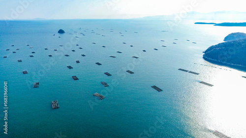 ドローン空撮による冬の瀬戸内海の牡蠣漁風景多島美（岡山県）/Oyster rafts in Seto Inland Sea, Okayama, Japan