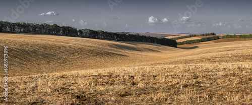 Agro-industrial sectors of Ukraine. Panorama of agricultural lands.Harvesting time in agro-industrial economy.
