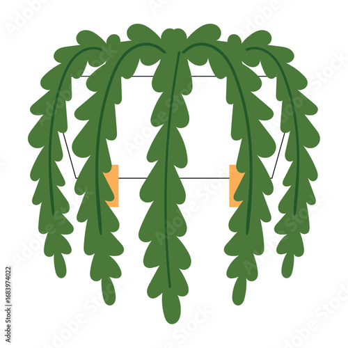 Hanging plant with leafy green foliage Vector