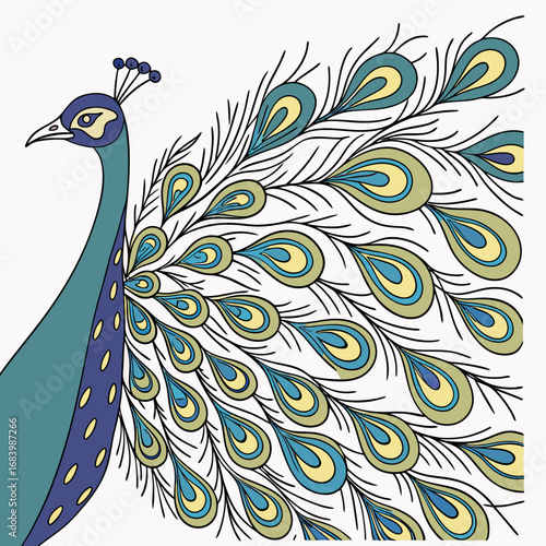 Stylized illustration of an elegant peacock showcasing its vibrant teal and blue fanned tail feathers, a striking visual for decorative art and design concepts