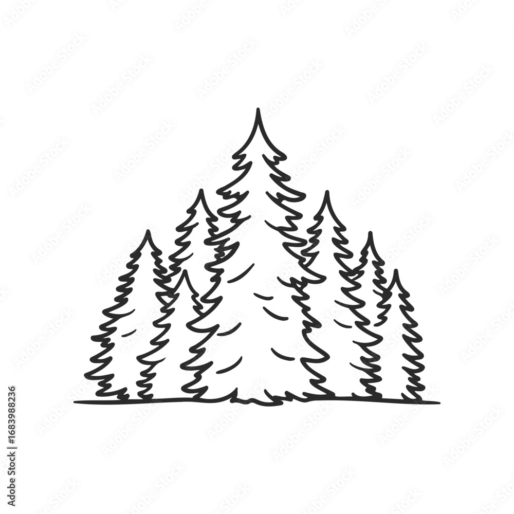 Obraz premium Hand-drawn illustration of pine trees in a forest