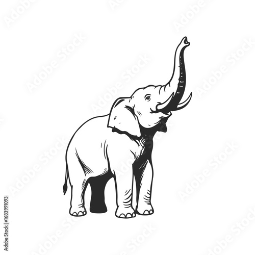 Monochrome illustration of an elephant with raised trunk on white background