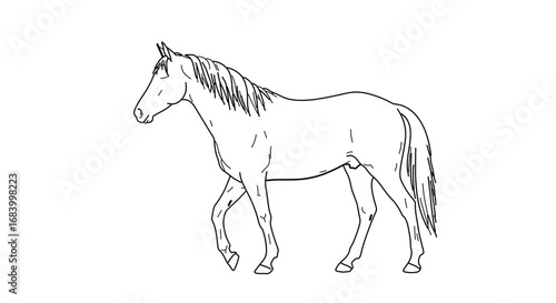 Elegant line drawing of a horse in motion
