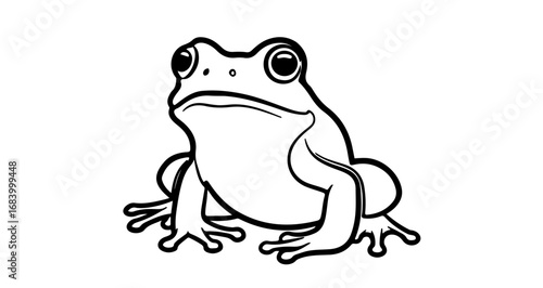 Illustration of a frog, a common amphibian found in ponds and wetlands