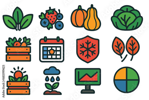 Seasonal Harvest Icons. Flat vector icons of seasonal harvest: spring greens, summer berries, autumn squash, winter cabbage,