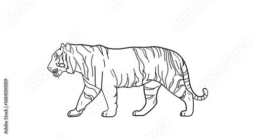 Illustration of a tiger walking, , showcasing its powerful and graceful movement