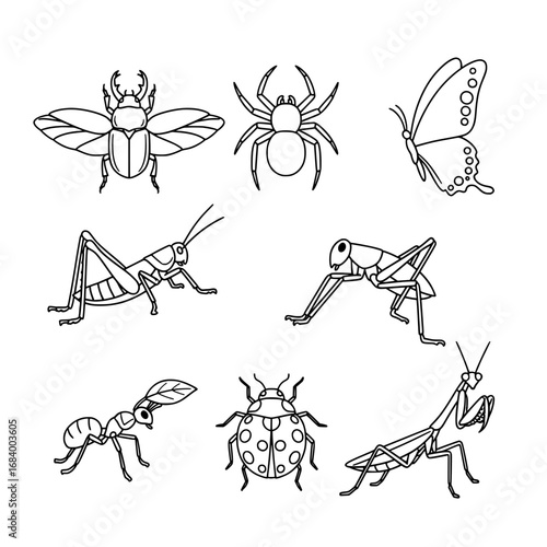 A vector illustration features an assortment of insects, including a praying mantis, a spider, a butterfly, a grasshopper, and several beetles, all in black and white line art.