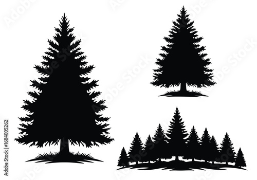 Set of realistic evergreen pine tree silhouettes for nature and forest scene designs