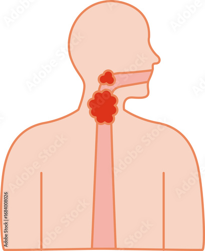 Human Head throat vector illustration