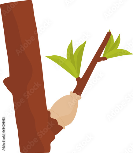 Illustration of Plant Grafting on a Tree Branch