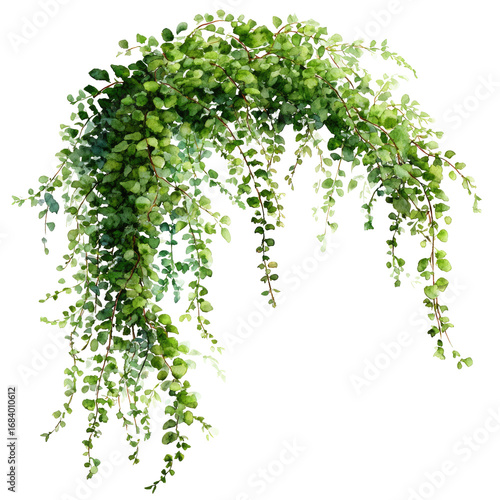 Lush, cascading greenery forms a curved arch