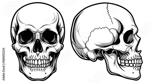 Minimalist Vector SVG Skull Illustration with Black and White Line Art Style for Gothic and Horror Themes