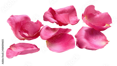 Wallpaper Mural Close-up of several vibrant pink rose petals Torontodigital.ca