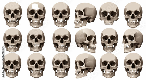 Vector SVG Illustration of Skulls with Realistic Organic Shapes in Dark Color Palette Modern Flat Design