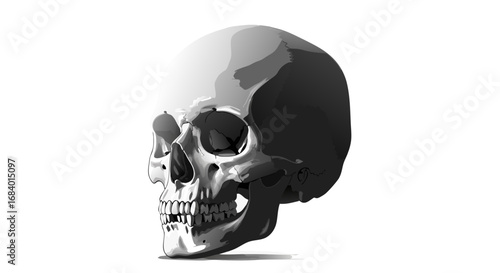 Minimalist Vector SVG Illustration of a Human Skull in Monochrome Style for Web and Digital Design
