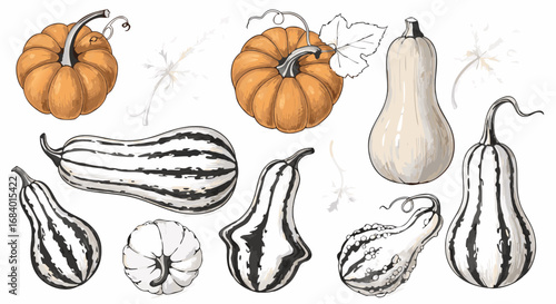Vector Minimalist SVG Illustration of Gourd and Squash Collection in Flat Style with Natural Colors