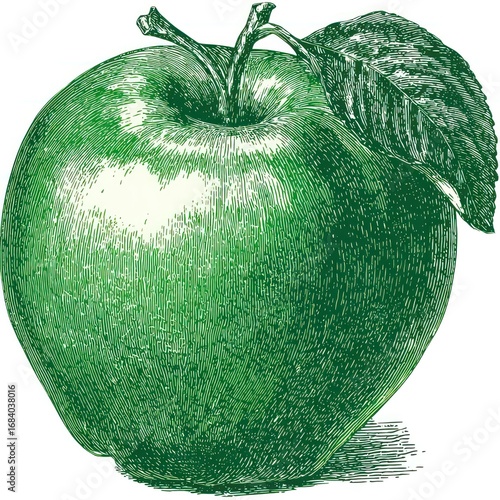 Green apple illustration