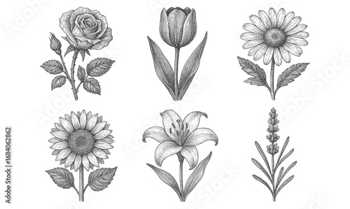 Detailed floral set with vintage engraved flowers in black and white