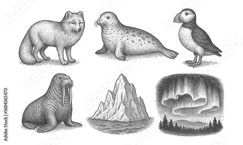 Arctic wildlife and landscapes in detailed vintage engraving style