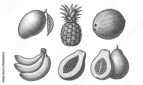 Vintage style tropical fruits collection with mango, pineapple, coconut, banana, papaya, pear