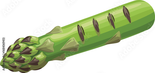grilled asparagus spear a detailed culinary illustration of fresh spring vegetable