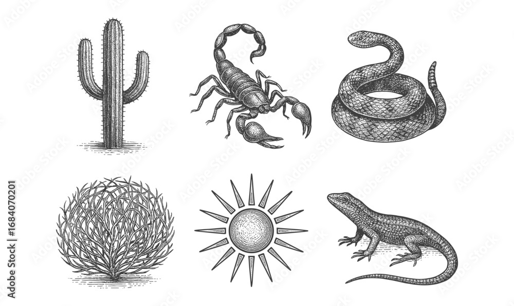 Fototapeta premium Hand drawn desert wildlife with cactus, sun, and reptiles