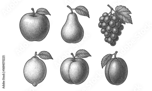 Vintage hand drawn fruit collection with apple, pear, grape, lemon, peach, and plum