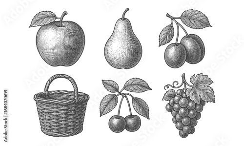 Vintage engraving style fruit collection with apple, pear, berries, and grape