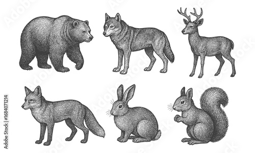 Wildlife animals in vintage engraving style: bear, wolf, deer, fox, rabbit, squirrel