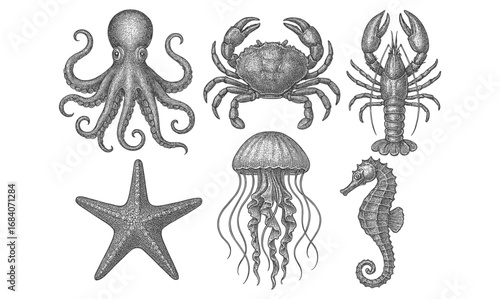 Detailed marine life sketches of octopus, crab, jellyfish, and more
