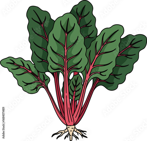 vibrant red chard illustration fresh vegetable, culinary delight, healthy eating